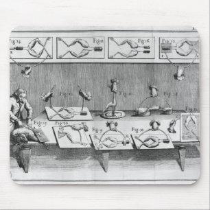 Experiment auf Fröschen Mousepad