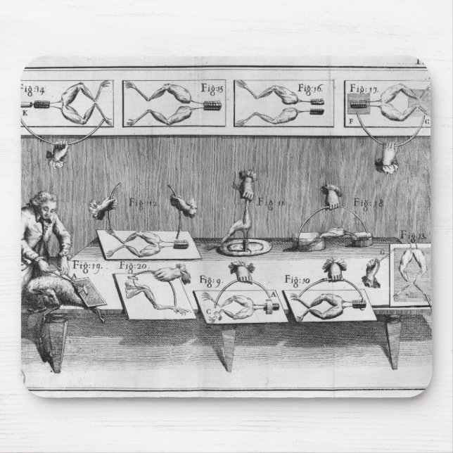 Experiment auf Fröschen Mousepad (Vorne)