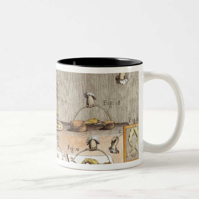 Experiment auf Fröschen Zweifarbige Tasse (Rechts)