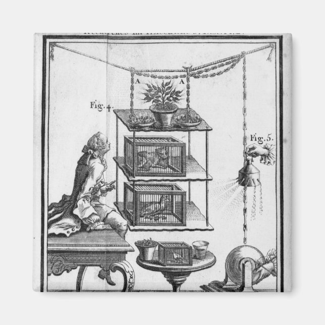 Experimentieren mit Elektrizität Magnet (Vorne)