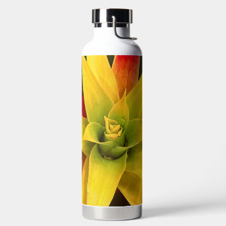 Explodierender Star Trinkflasche