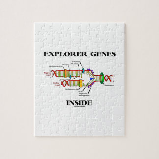 Explorer-Gene Inside (DNA-Replikation) Puzzle