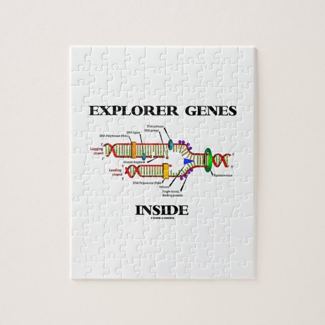 Explorer-Gene Inside (DNA-Replikation) Puzzle (Vertikal)