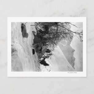 Explorer-Zelt und -Anhänger am Campingplatz Postkarte