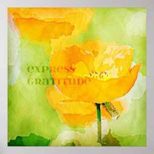 Express Dankbarkeit Orange Poppy Poster