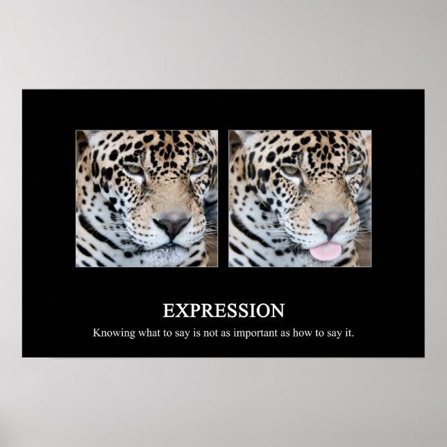 Expression Poster (Vorne)