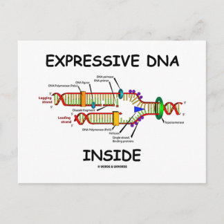 Expressive DNA Inside (DNA-Replikation) Postkarte