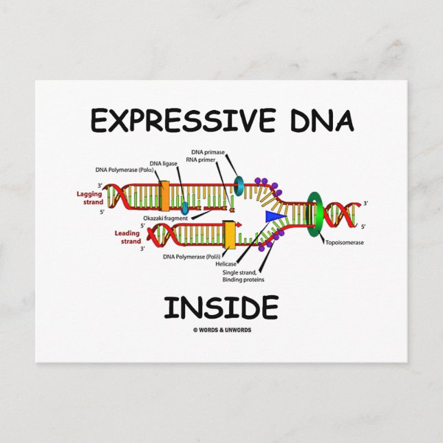 Expressive DNA Inside (DNA-Replikation) Postkarte (Vorderseite)