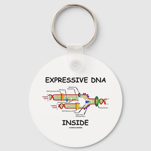 Expressive DNA Inside (DNA-Replikation) Schlüsselanhänger (Vorderseite)