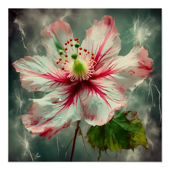 Exquisite Abutilon Poster (Vorderseite)