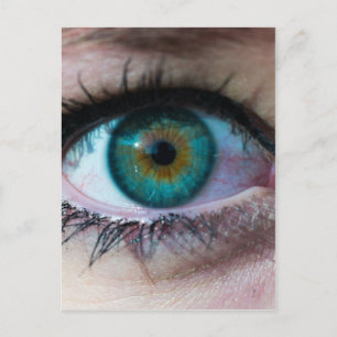 Exquisite Gaumenfreude Surreal Foto Geschenk Postkarte