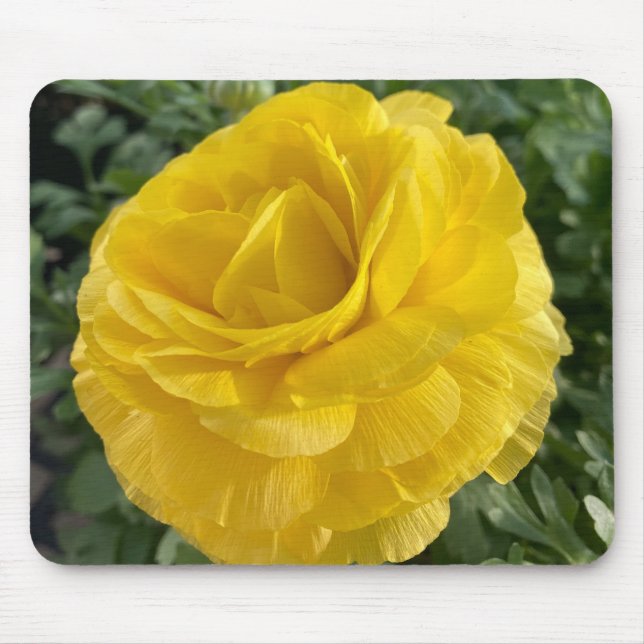 Exquisite Gelbe Blume Mousepad (Vorne)