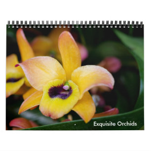 Exquisite Orchideenkalender Kalender