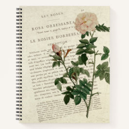 Exquisite Rosa Orbessanea Vintag Notizbuch