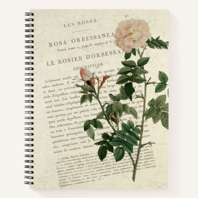 Exquisite Rosa Orbessanea Vintag Notizbuch (Vorderseite)