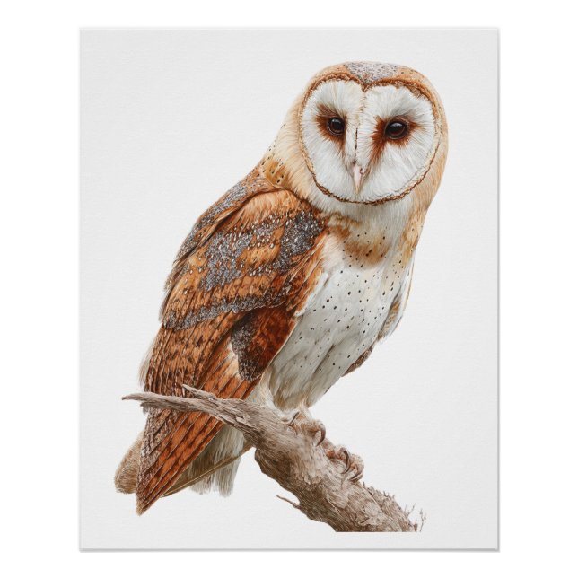 Exquisite Watercolor Barn Owl Portrait Poster (Vorderseite)