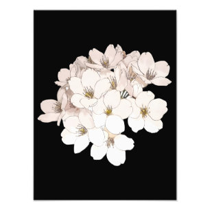 Exquisiter Kirschblüten-Kunstprint Fotodruck