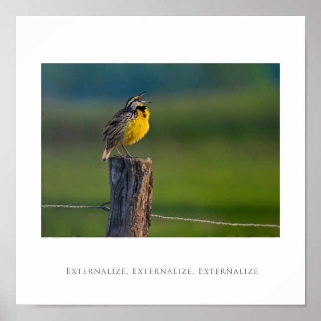 Externalisieren, Externalisieren, Externalisieren Poster (Vorne)