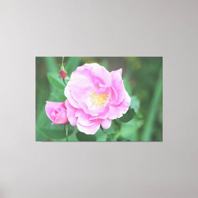 Extra große rosa Leinwand (Vorderseite)