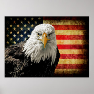 Extra Lg. Leistungsstarkes US-Adler-Flag-Poster Poster