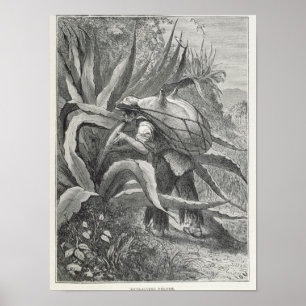 Extraktionsstoff Poster