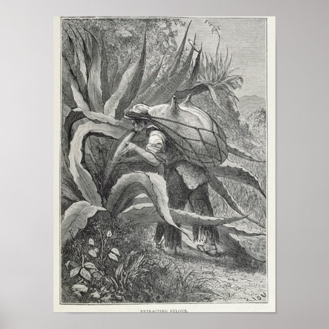 Extraktionsstoff Poster (Vorne)