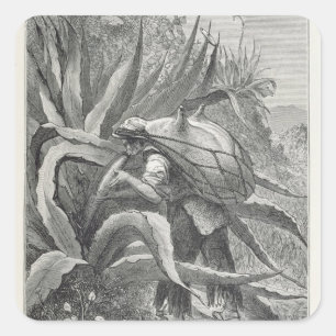 Extraktionsstoff Quadratischer Aufkleber