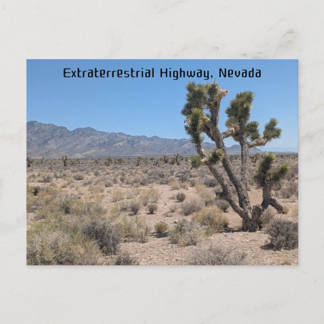 Extraterrestrische Autobahn, Wüste Nevada Postkarte (Vorderseite)