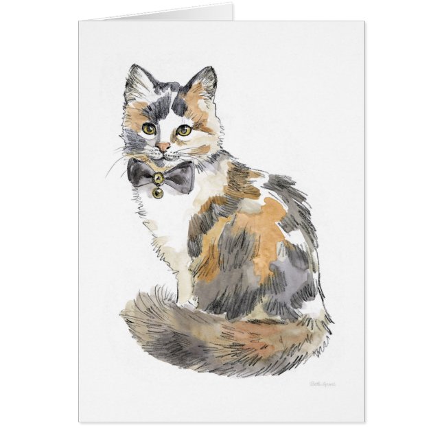 Extravagant Calico Cat (Vorne)