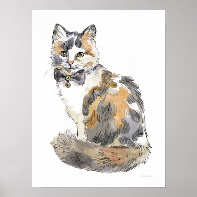 Extravagant Calico Cat Poster (Vorne)