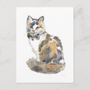 Extravagant Calico Cat Postkarte