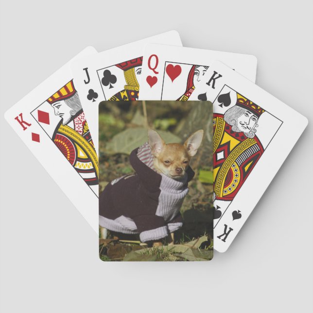 Extravagant Chihuahua Spielkarten (Rückseite)