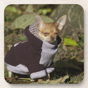 Extravagant Chihuahua Untersetzer