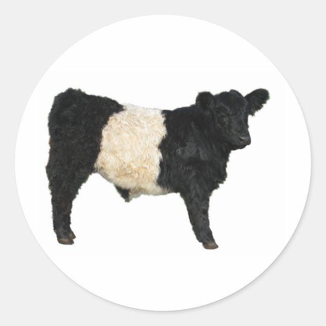 Extravagant ein Oreo? Galloway Cow Runder Aufkleber (Vorderseite)