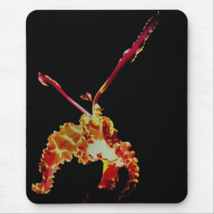 Extravagant Orange Orchid Blume Mousepad