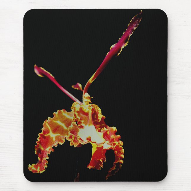 Extravagant Orange Orchid Blume Mousepad (Vorne)