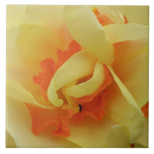 Extravagante Daffodilatatfolie Fliese
