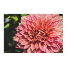 Extravagante Dahlia