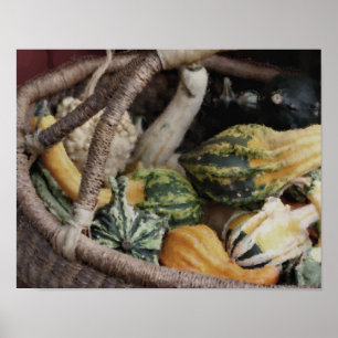 Extravagante Gourds im Korbgeflecht Foto Poster