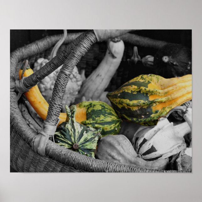 Extravagante Gourds in einem Korbweidekorb, teilwe Poster (Vorne)