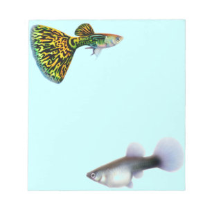 Extravagante Guppies Livebearer Fisch Notepad Notizblock