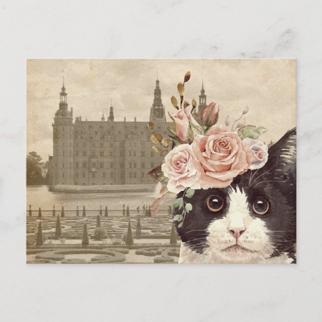 Extravagante Katze & Burg Postkarte (Vorderseite)