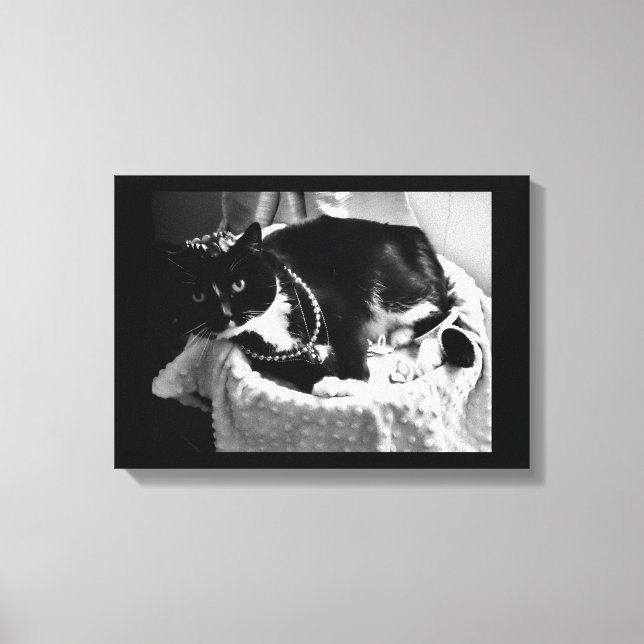 Extravagante Katze Leinwanddruck (Vorderseite)
