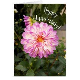 Extravagante Lila und weiße Dahlijakarte