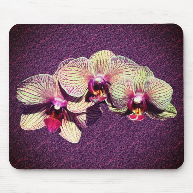 Extravagante Orchid-Blume Mousepad (Vorne)