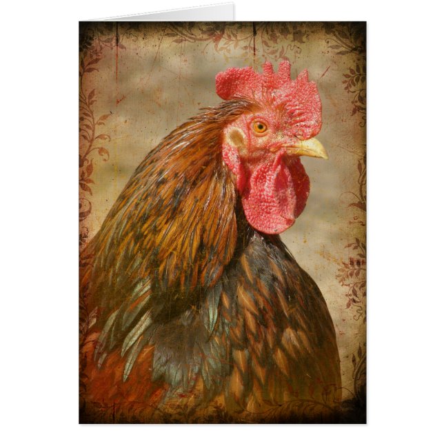 Extravagante Pflanze (Vorne)