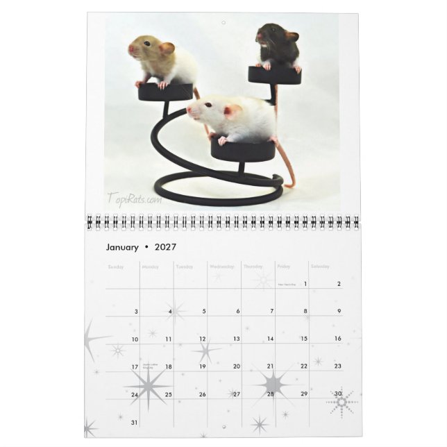 Extravagante Ratten - Kalender 2013 (Jan 2027)