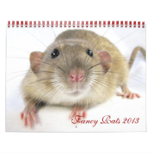 Extravagante Ratten - Kalender 2013