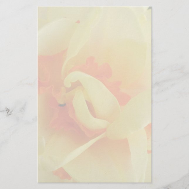 Extravagante Zahnheilkunde Briefpapier (Vorderseite)