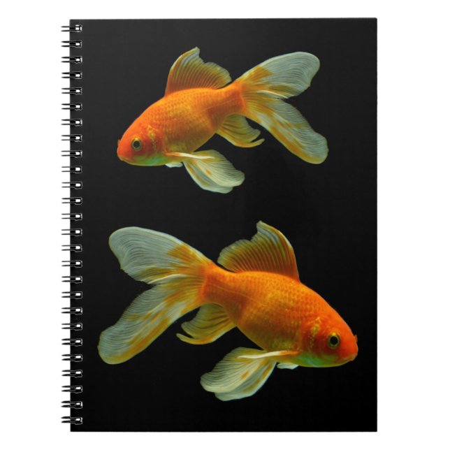 Extravaganter Goldfish auf Schwarz-Notebook Notizblock (Vorderseite)
